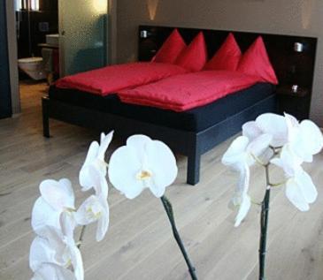 Hotel Quersinn Pfaffikon  Δωμάτιο φωτογραφία